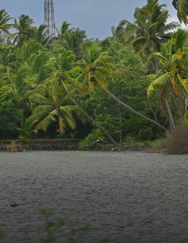 banner image for mobile screens