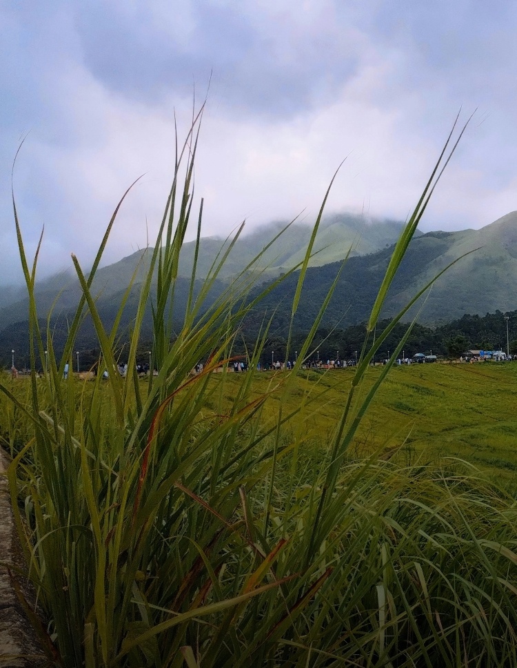 banner image for mobile screens